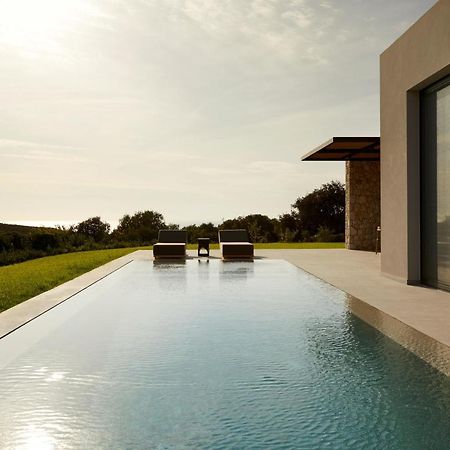 Villa Dione Kefalonian Chic Villas Спартия Экстерьер фото